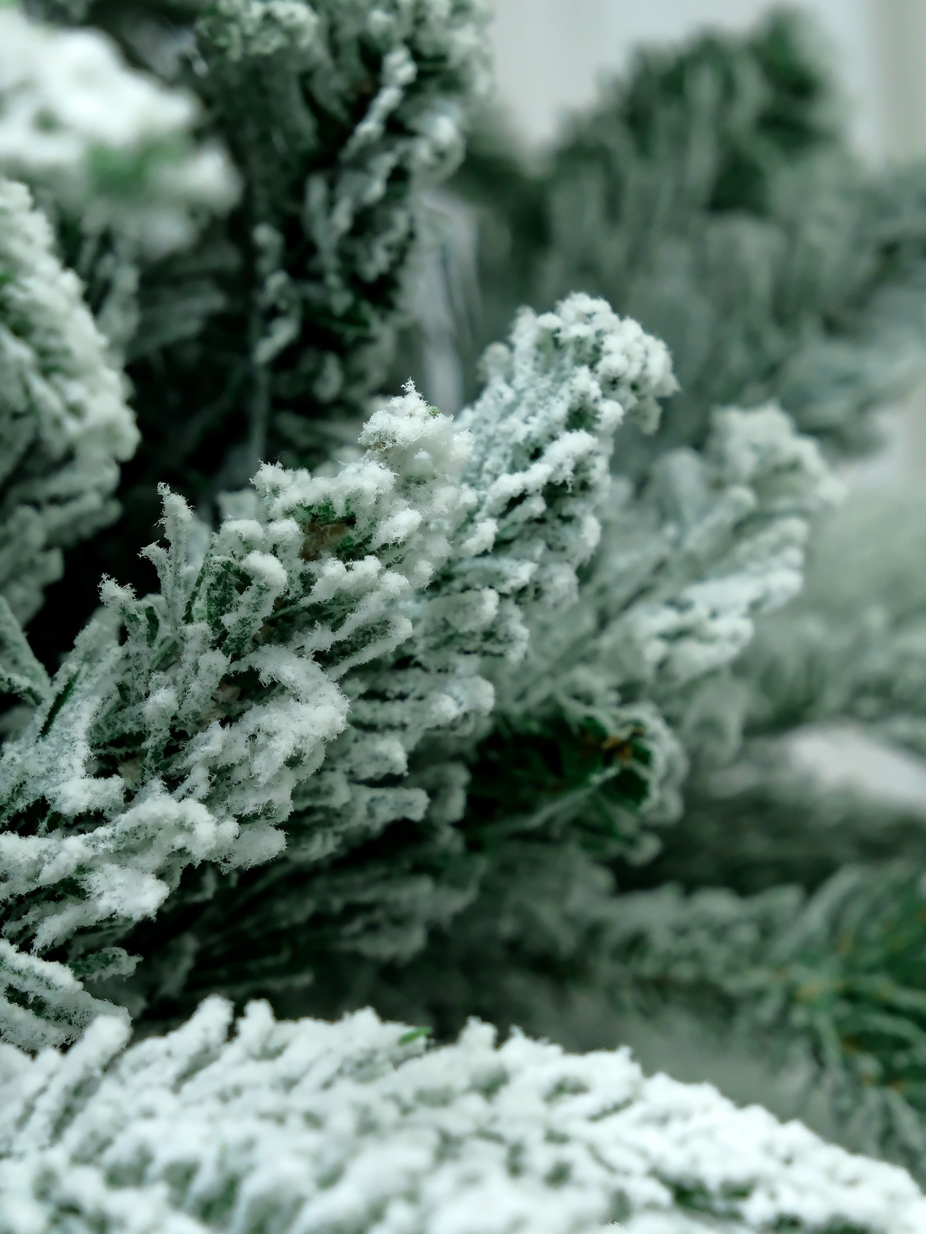 Snow Flocked Christmas Tree 4/ 5/6/7/8/10 FT High Quality  X Mas Decor Snow Tree